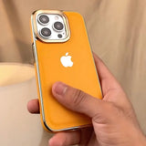 iPhone Series Metaleve